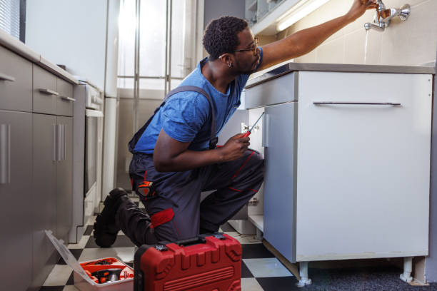 Best Residential Plumbing Services  in Rosamond, CA
